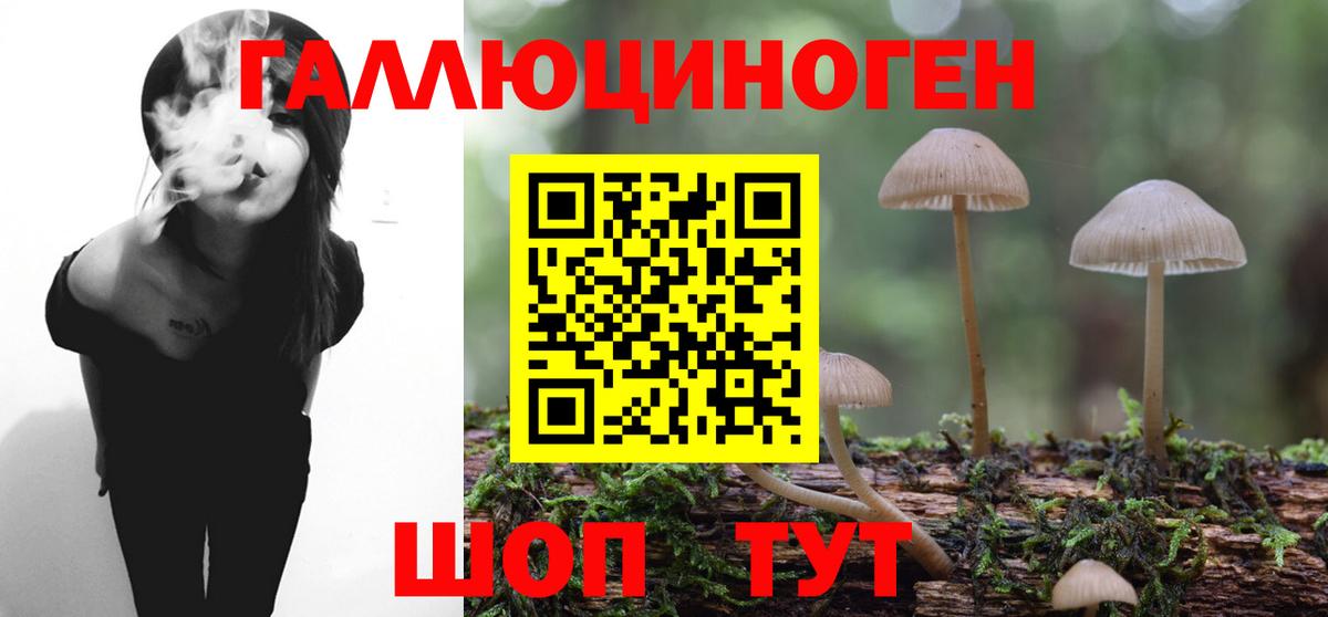 Псилоцибиновые грибы Psilocybine cubensis  Вход с VPN  Галлюциногенные грибы мицелий  как найти закладки  Энгельс 